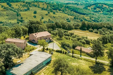 Farm hus i Scansano, Grosseto, Scansano - € 9.600.000 | Ref: ILV80522-1382206 - foto 23
