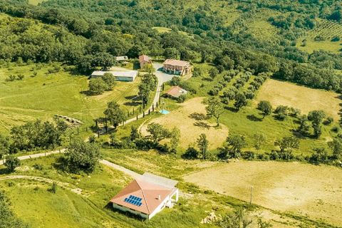 Farm hus i Scansano, Grosseto, Scansano - € 9.600.000 | Ref: ILV80522-1382206 - foto 24