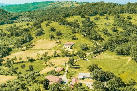 Farm hus i Scansano, Grosseto, Scansano - € 9.600.000 | Ref: ILV80522-1382206 - foto 29