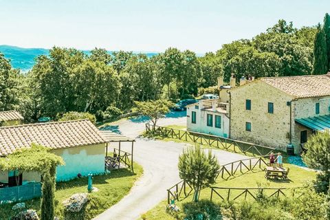 Farm hus i Scansano, Grosseto, Scansano - € 9.600.000 | Ref: ILV80522-1382206 - foto 35