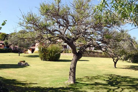 Villa i Arzachena, Sassari, Arzachena - € 5.500.000 | Ref: ILV93381-1388536 - foto 4