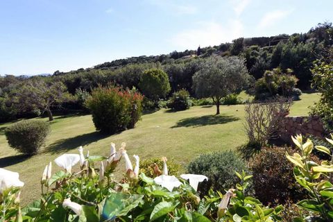 Villa i Arzachena, Sassari, Arzachena - € 5.500.000 | Ref: ILV93381-1388536 - foto 9