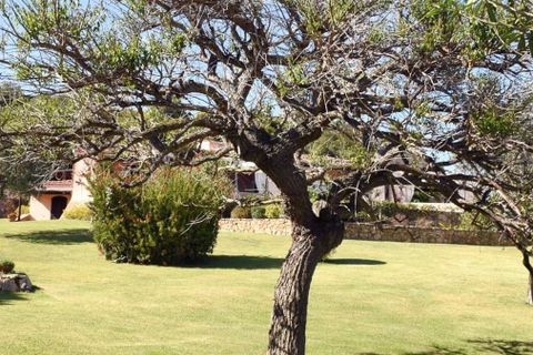 Villa i Arzachena, Sassari, Arzachena - € 5.500.000 | Ref: ILV93381-1388536 - foto 37