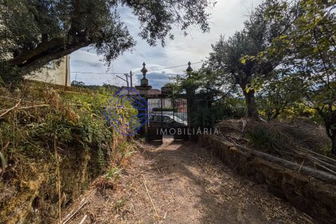 Byhus i Viseu, Viseu, Viseu - € 490.000 | Ref: 1131141 - foto 5
