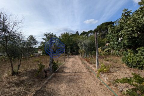 Byhus i Viseu, Viseu, Viseu - € 490.000 | Ref: 1131141 - foto 6