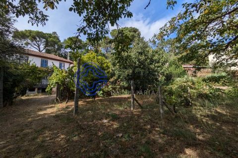 Byhus i Viseu, Viseu, Viseu - € 490.000 | Ref: 1131141 - foto 7