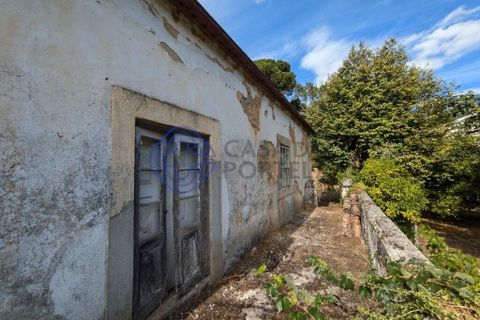 Byhus i Viseu, Viseu, Viseu - € 490.000 | Ref: 1131141 - foto 8