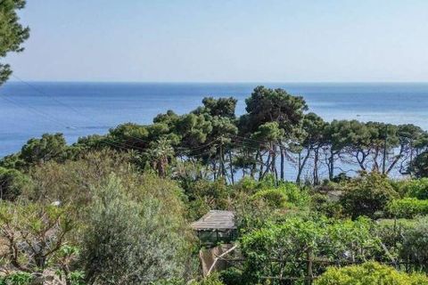 Haus in Capri, Naples, Capri - € 2.200.000 | Ref: ILV92276-1389445 - Foto 15