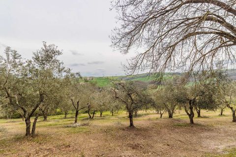 Landejendom i Asciano, Siena, Asciano - € 3.700.000 | Ref: ILV92385-1390551 - foto 20