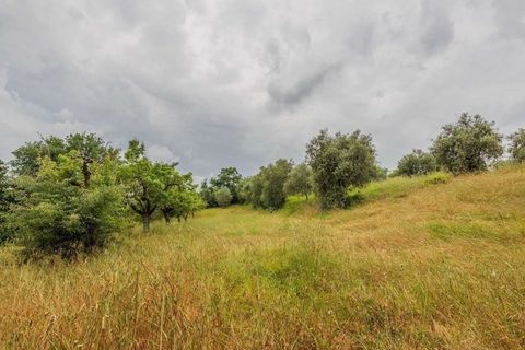 Villa in Carmignano, Prato, Carmignano - € 3.600.000 | Ref: ILV92386-1390602 - foto 14