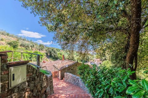 Farm hus i Loro Ciuffenna, Arezzo, Loro Ciuffenna - € 3.300.000 | Ref: ILV92387-1390653 - foto 14