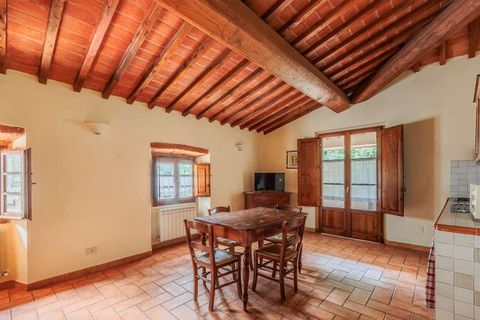 Farm hus i Loro Ciuffenna, Arezzo, Loro Ciuffenna - € 3.300.000 | Ref: ILV92387-1390653 - foto 30