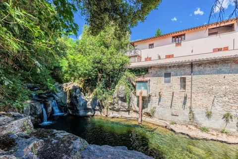 Farm hus i Loro Ciuffenna, Arezzo, Loro Ciuffenna - € 3.300.000 | Ref: ILV92387-1390653 - foto 37