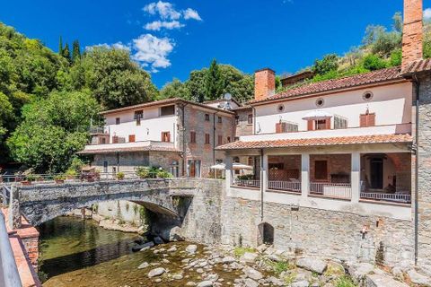 Farm hus i Loro Ciuffenna, Arezzo, Loro Ciuffenna - € 3.300.000 | Ref: ILV92387-1390653 - foto 46