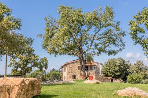 Landejendom i Suvereto, Livorno, Suvereto - € 2.500.000 | Ref: ILV92444-1391234 - foto 22