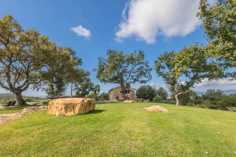 Landejendom i Suvereto, Livorno, Suvereto - € 2.500.000 | Ref: ILV92444-1391234 - foto 26