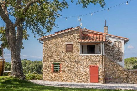 Landejendom i Suvereto, Livorno, Suvereto - € 2.500.000 | Ref: ILV92444-1391234 - foto 39
