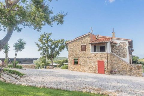 Landejendom i Suvereto, Livorno, Suvereto - € 2.500.000 | Ref: ILV92444-1391234 - foto 41