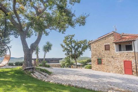 Landejendom i Suvereto, Livorno, Suvereto - € 2.500.000 | Ref: ILV92444-1391234 - foto 46