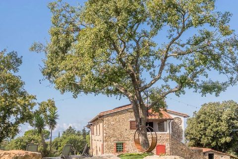 Landejendom i Suvereto, Livorno, Suvereto - € 2.500.000 | Ref: ILV92444-1391234 - foto 48