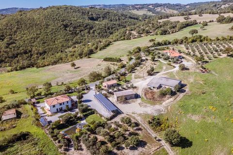 Landejendom i Scansano, Grosseto, Scansano - € 2.300.000 | Ref: ILV92465-1391521 - foto 1