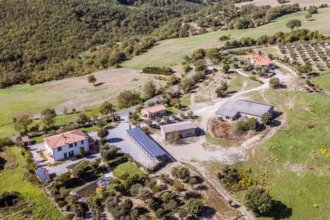 Landejendom i Scansano, Grosseto, Scansano - € 2.300.000 | Ref: ILV92465-1391521 - foto 2