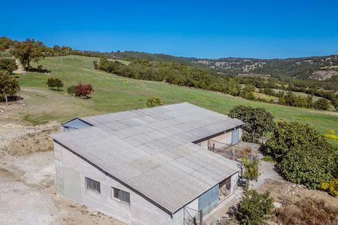 Landejendom i Scansano, Grosseto, Scansano - € 2.300.000 | Ref: ILV92465-1391521 - foto 6