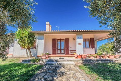 Landejendom i Scansano, Grosseto, Scansano - € 2.300.000 | Ref: ILV92465-1391521 - foto 16