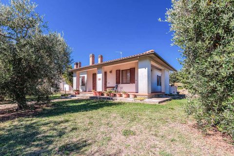 Landejendom i Scansano, Grosseto, Scansano - € 2.300.000 | Ref: ILV92465-1391521 - foto 17