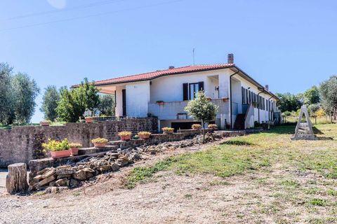 Landejendom i Scansano, Grosseto, Scansano - € 2.300.000 | Ref: ILV92465-1391521 - foto 18