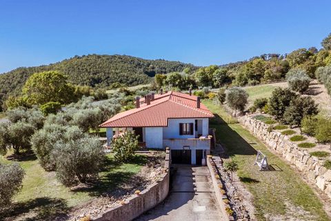 Landejendom i Scansano, Grosseto, Scansano - € 2.300.000 | Ref: ILV92465-1391521 - foto 45