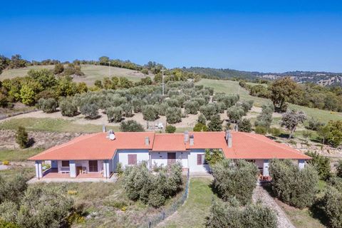 Landejendom i Scansano, Grosseto, Scansano - € 2.300.000 | Ref: ILV92465-1391521 - foto 46