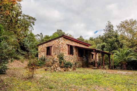 Villa em Rome, Rome, Rome - € 1.950.000 | Ref: ILV92474-1391878 - foto 15