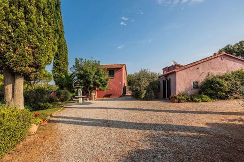 Landejendom i Bibbona, Livorno, Bibbona - € 1.750.000 | Ref: ILV92479-1392133 - foto 4