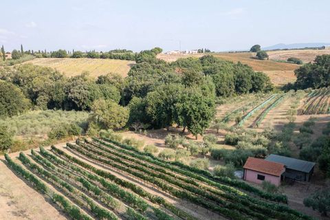 Landejendom i Bibbona, Livorno, Bibbona - € 1.750.000 | Ref: ILV92479-1392133 - foto 9