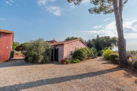 Landejendom i Bibbona, Livorno, Bibbona - € 1.750.000 | Ref: ILV92479-1392133 - foto 10