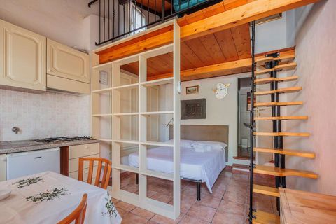 Landejendom i Bibbona, Livorno, Bibbona - € 1.750.000 | Ref: ILV92479-1392133 - foto 18