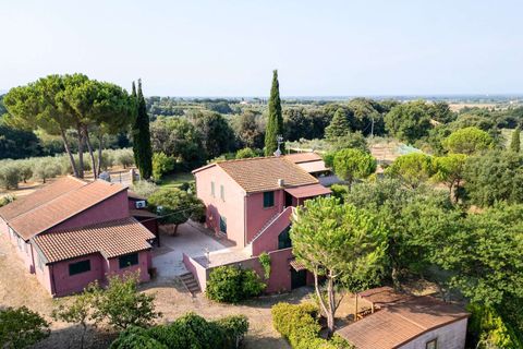 Landejendom i Bibbona, Livorno, Bibbona - € 1.750.000 | Ref: ILV92479-1392133 - foto 21