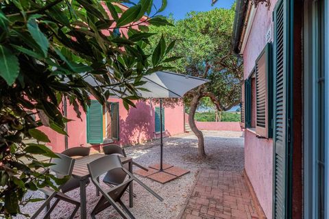 Landejendom i Bibbona, Livorno, Bibbona - € 1.750.000 | Ref: ILV92479-1392133 - foto 24