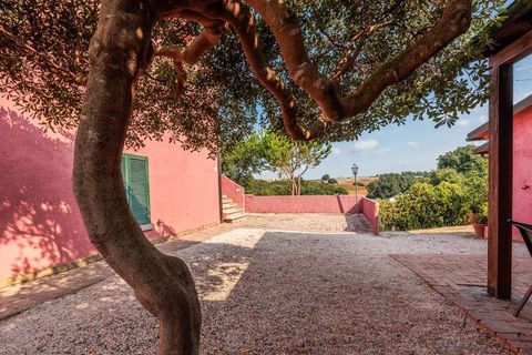 Landejendom i Bibbona, Livorno, Bibbona - € 1.750.000 | Ref: ILV92479-1392133 - foto 25