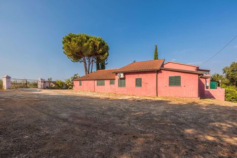Landejendom i Bibbona, Livorno, Bibbona - € 1.750.000 | Ref: ILV92479-1392133 - foto 26