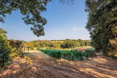 Landejendom i Bibbona, Livorno, Bibbona - € 1.750.000 | Ref: ILV92479-1392133 - foto 27