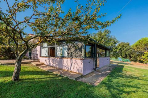 Landejendom i Bibbona, Livorno, Bibbona - € 1.750.000 | Ref: ILV92479-1392133 - foto 32