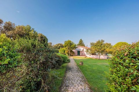 Landejendom i Bibbona, Livorno, Bibbona - € 1.750.000 | Ref: ILV92479-1392133 - foto 33