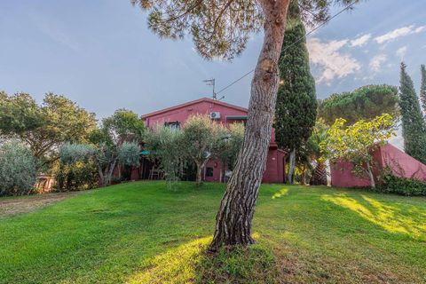 Landejendom i Bibbona, Livorno, Bibbona - € 1.750.000 | Ref: ILV92479-1392133 - foto 35
