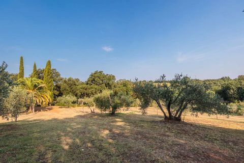 Landejendom i Bibbona, Livorno, Bibbona - € 1.750.000 | Ref: ILV92479-1392133 - foto 36