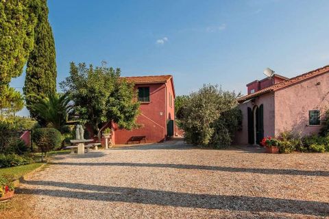 Landejendom i Bibbona, Livorno, Bibbona - € 1.750.000 | Ref: ILV92479-1392133 - foto 44