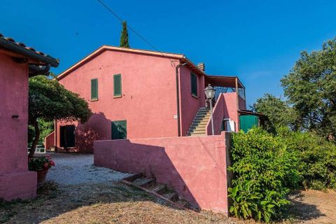 Landejendom i Bibbona, Livorno, Bibbona - € 1.750.000 | Ref: ILV92479-1392133 - foto 46