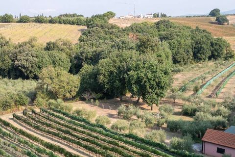 Landejendom i Bibbona, Livorno, Bibbona - € 1.750.000 | Ref: ILV92479-1392133 - foto 49