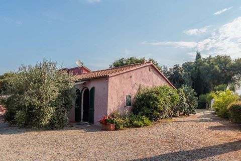 Landejendom i Bibbona, Livorno, Bibbona - € 1.750.000 | Ref: ILV92479-1392133 - foto 50